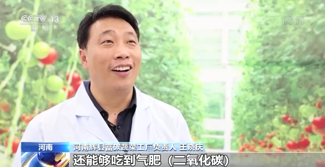 科技赋能“菜篮子”!看蔬菜大棚如何变成“绿色作坊”→